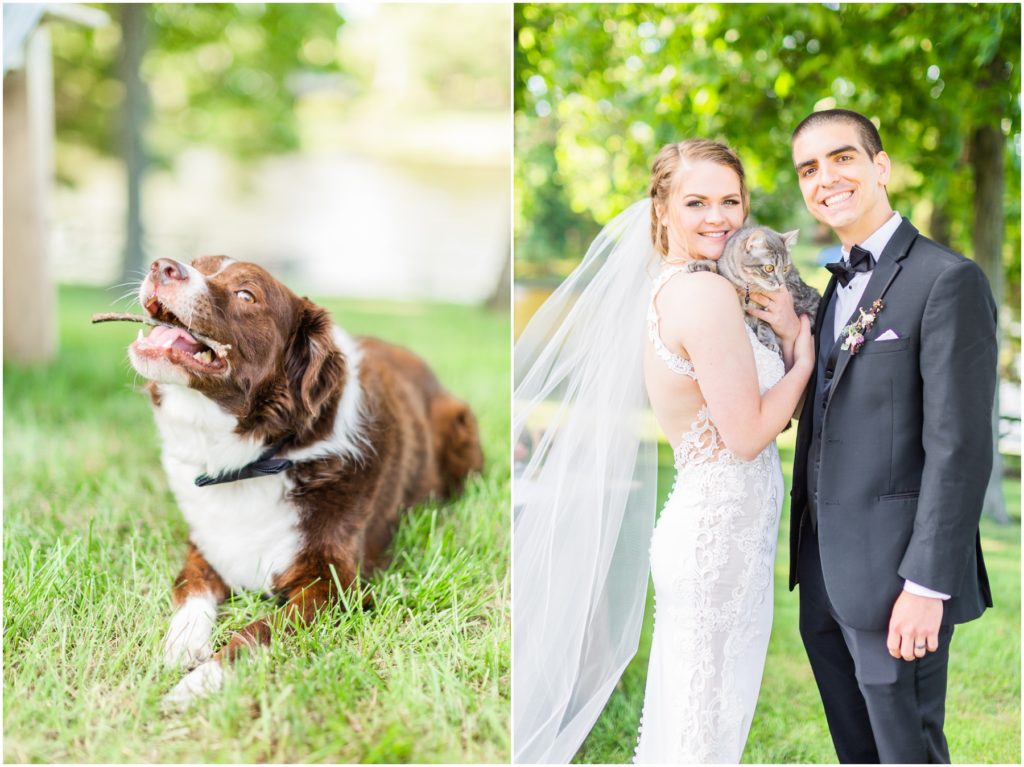 animal lovers, lancaster wedding photographer