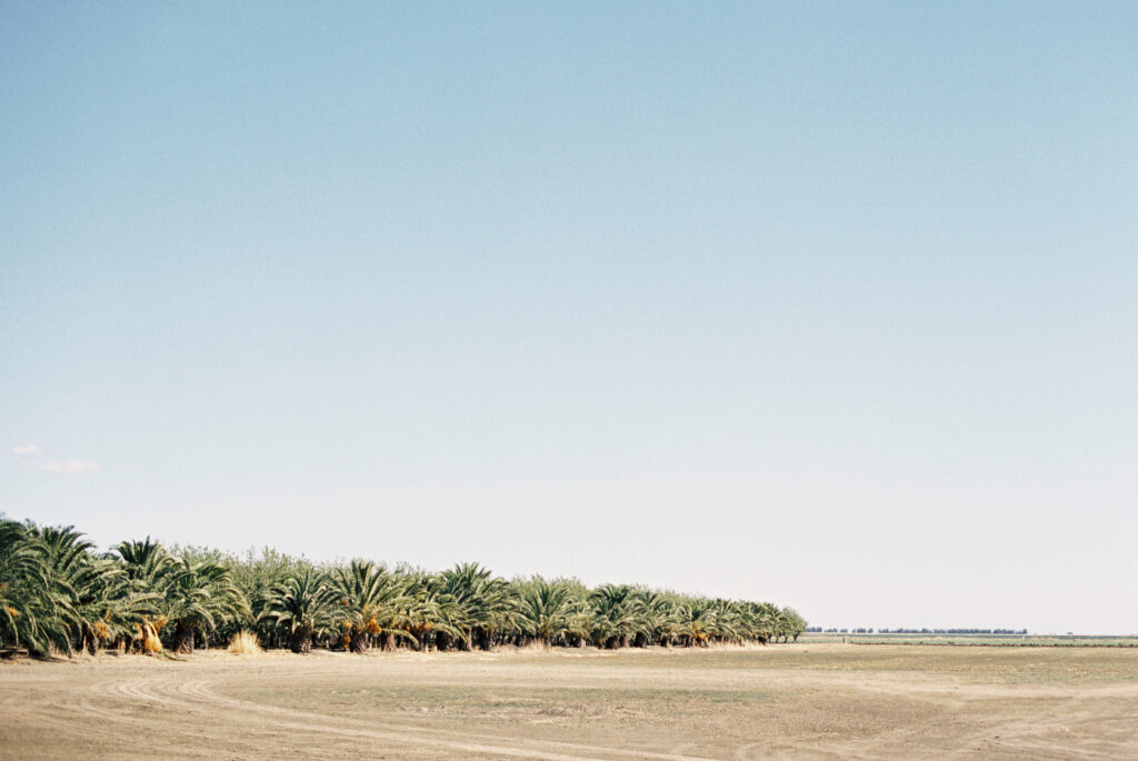 Northern California wedding